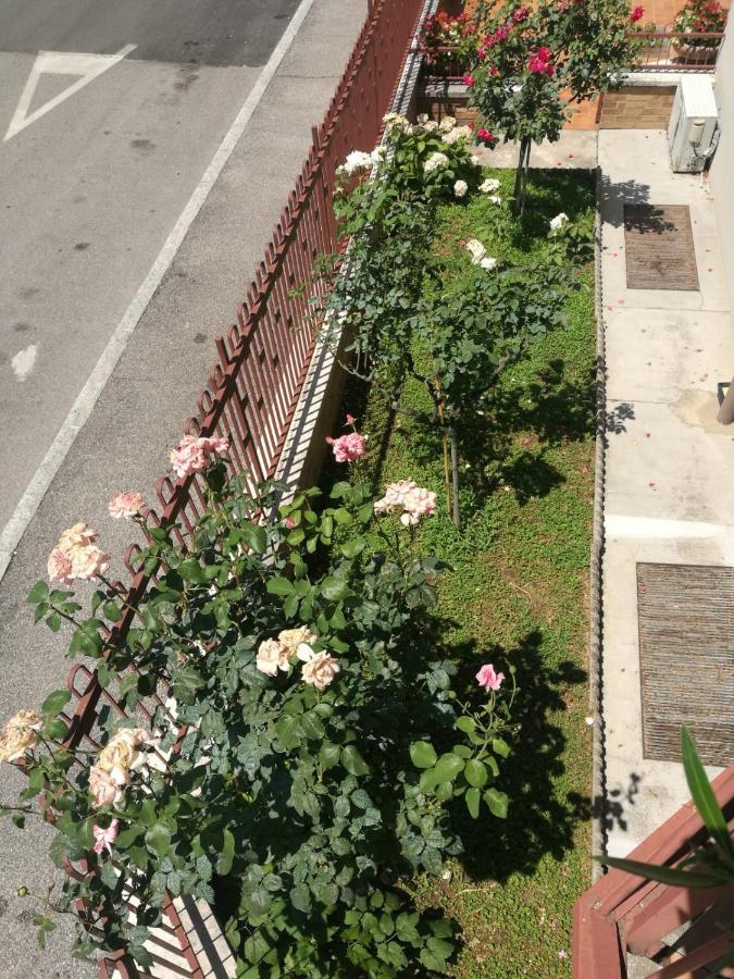 Gasthof Minihouselarissa Diverona *